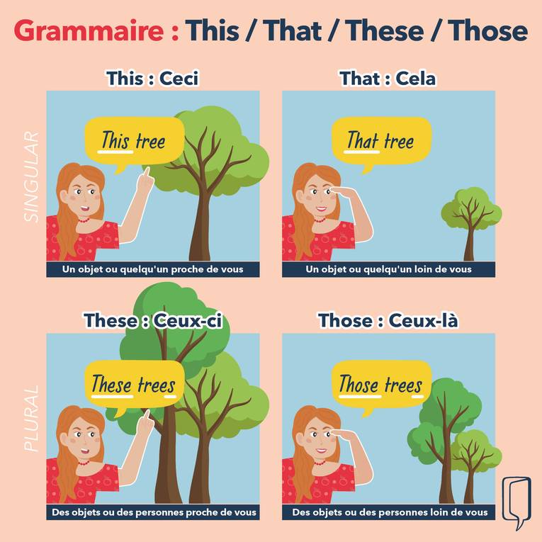 affiche grammaire