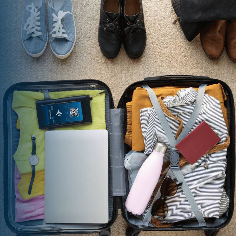 valise