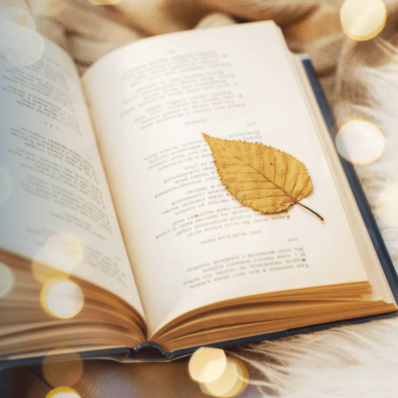 Les 5 plus beaux poèmes en anglais