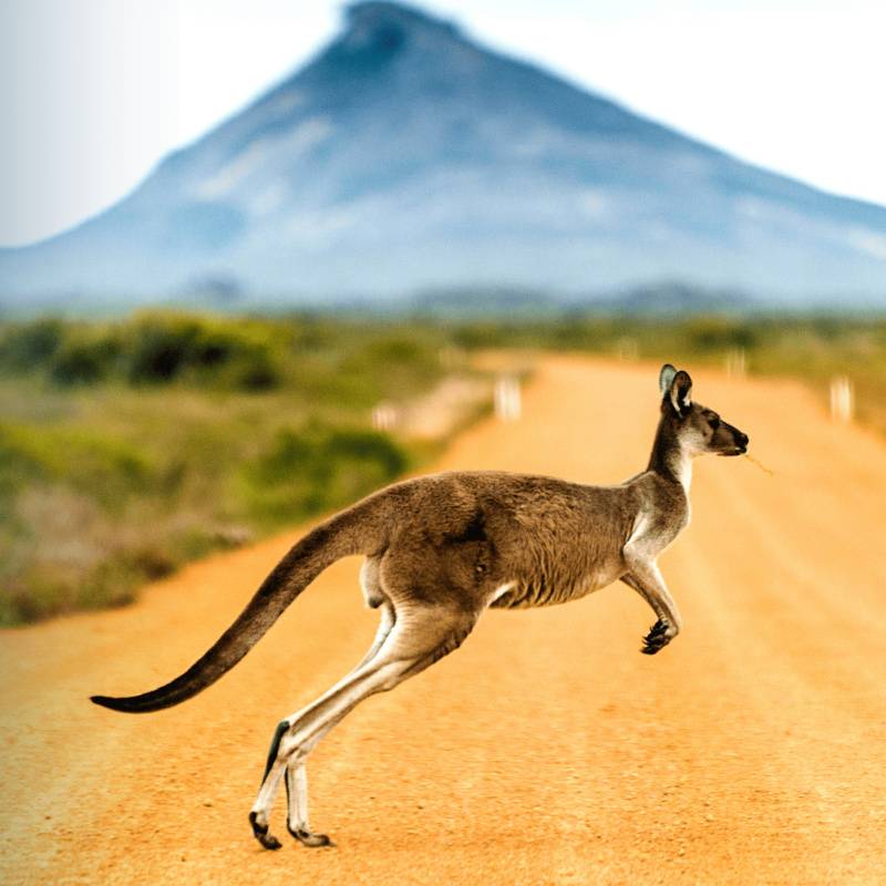 Apprendre l’Anglais en Australie