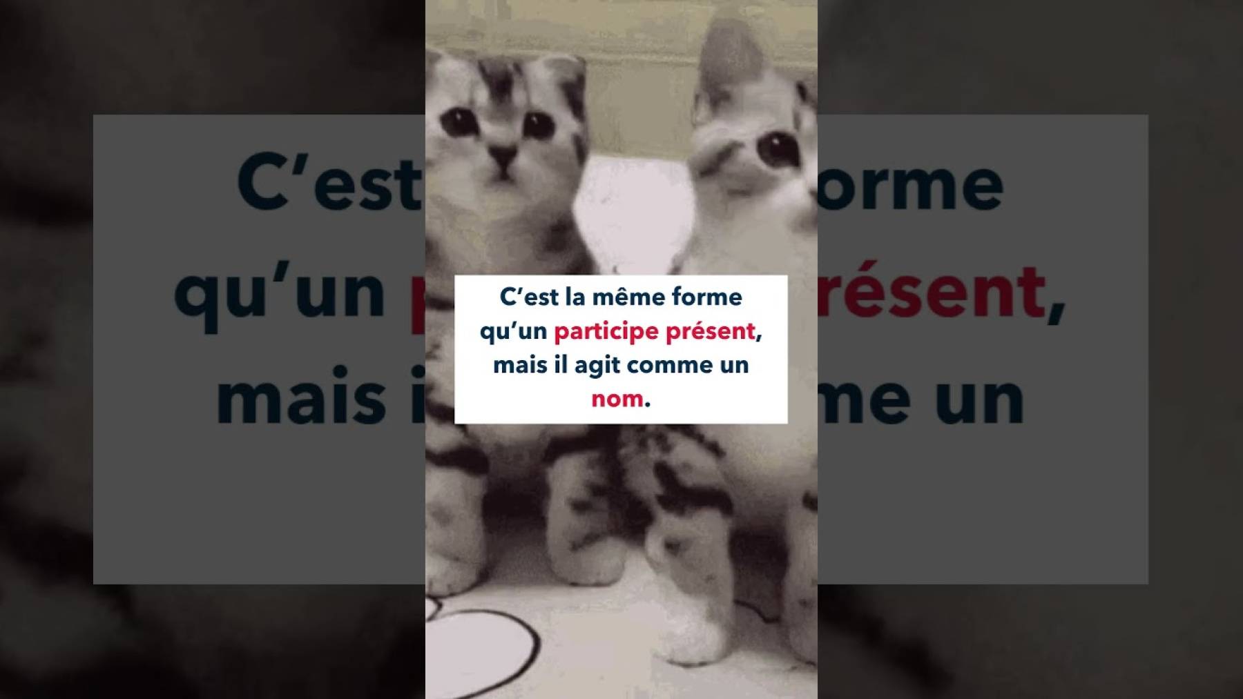 Embedded thumbnail for Temps : le gérondif anglais > Paragraphe