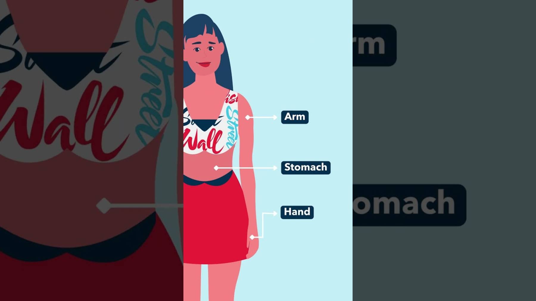 Embedded thumbnail for Le vocabulaire du corps humain en anglais > Paragraphe