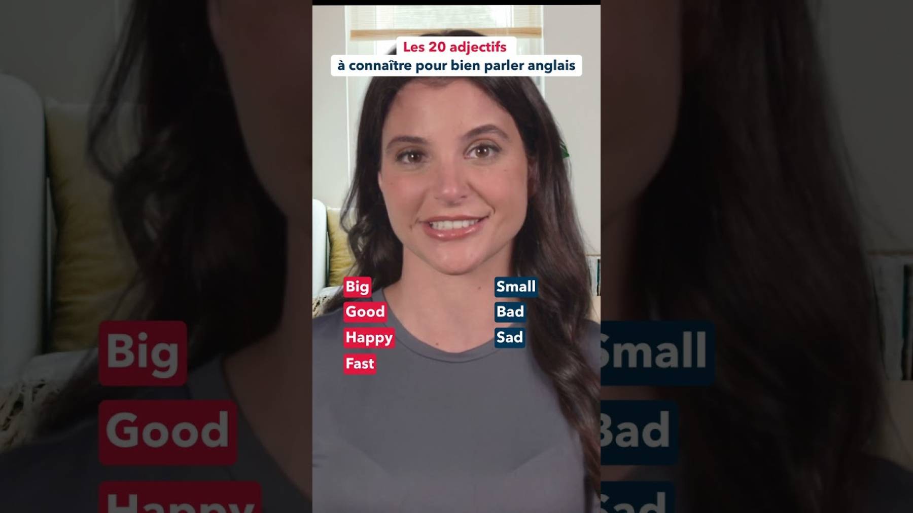 Embedded thumbnail for Grammaire anglaise : les adjectifs > Paragraphe