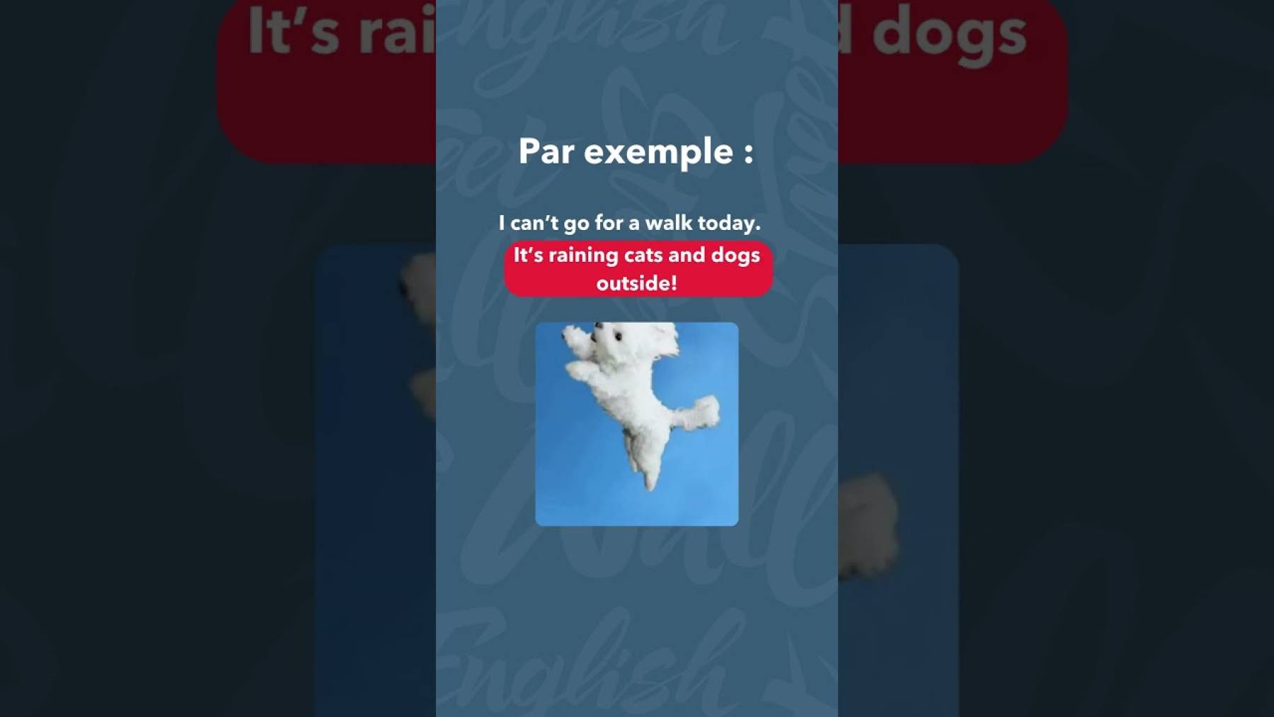 Embedded thumbnail for Expressions idiomatiques anglaises > Paragraphe
