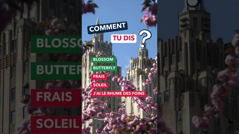 Embedded thumbnail for Connaissez-vous le vocabulaire de la saison du printemps en anglais ?