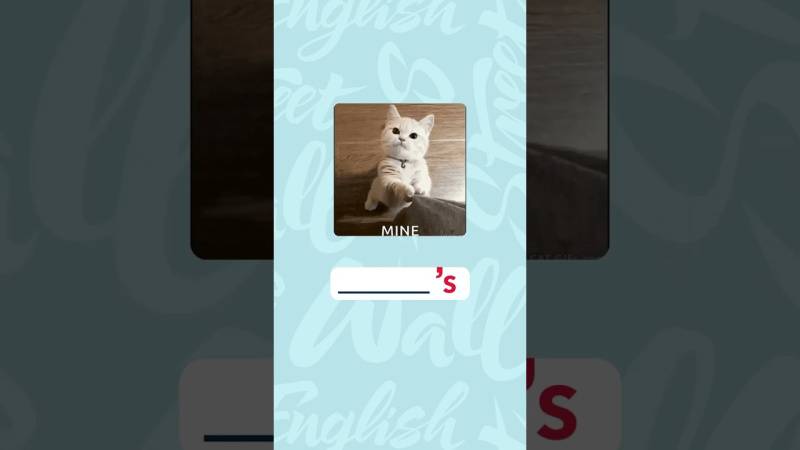 Embedded thumbnail for L’apostrophe "s" en anglais : tout ce qu’il faut savoir pour exprimer la possession